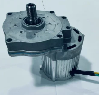 Brushless DC Gear Motor
