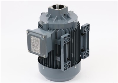 IE3 AC trifazni indukcijski motor